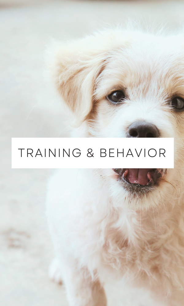 training and behavior